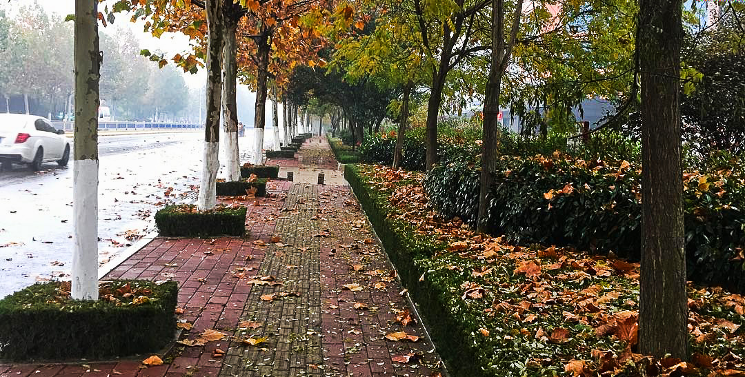 /images/european-leftists/1.jpg /images/european-leftists/1.jpg